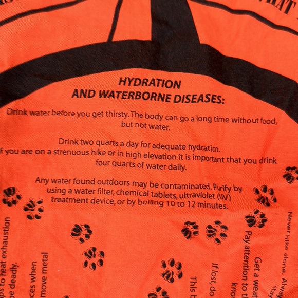 Set of four bandanas - two Disney, one Thomas the Train, one Survival Tips - Picture 12 of 16